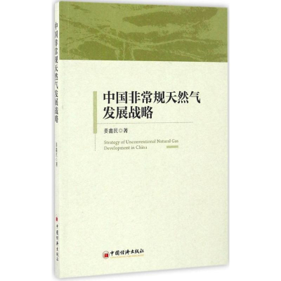 音像中国规天然气发展战略姜鑫民 著