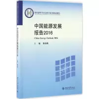 音像中国能源发展报告.2016林伯强 主编