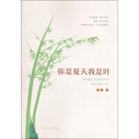 音像你是夏天我是叶丹华 著