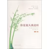 音像你是夏天我是叶丹华 著