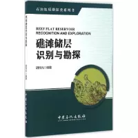音像礁滩储层识别与勘探胡伟光 编著