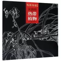 音像宋晓明热带植物/唯美线描精选绘画:宋晓明