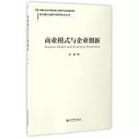 音像商业模式与企业创新/商业模式创新与管理系列丛书原磊
