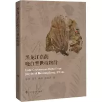 音像黑龙江嘉荫晚白垩世植物群孙革 等