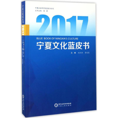 音像2017宁夏文化蓝皮书段庆林,鲁忠慧 主编;张廉 丛书主编