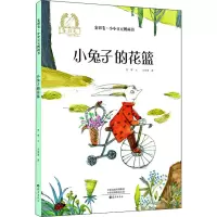 音像小兔子的花篮陈晖