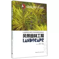 音像风景园林工程(普通高等教育土建学科十二五规划教材)许大为