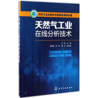 音像天然气工业在线分析技术王森 主编