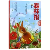 音像森林报(夏)(苏联)维·比安基|译者:沈念驹//姚锦镕