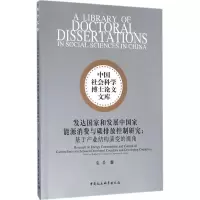 音像发达和发展中能源消费与碳排放控制研究栾晏 著