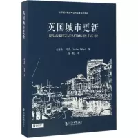 音像英国城市更新(英)安德鲁·塔隆(Andrew Tallon) 著;杨帆 译