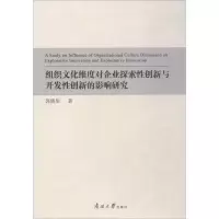 音像组织文化维度对企业探索创新与开发创新的影响研究郭晓彤 著