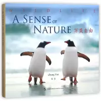 音像万类自由(精)程岩