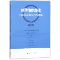 音像新型城镇化(上海浦东的实践与创新)纪慰华