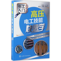 音像高压电工技能快速学张伯龙 主编