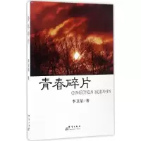 音像青春碎片李卫荣 著