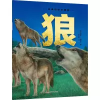 音像狼(法)阿涅丝·万德维尔