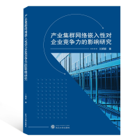 音像产业集群网络嵌入对企业竞争力的影响研究兰娟丽 著