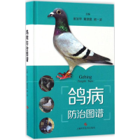 音像鸽病防治图谱赵宝华,戴鼎震,杨一波 主编