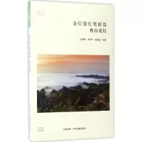 音像金灯银灯贺新春彭林绪,刘济平,姚祖恩 编著