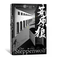 音像荒原狼(德)赫尔曼·黑塞