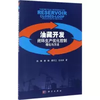 音像油藏开发闭环生产优化控制理论与方法赵辉 等 著