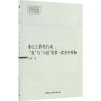 音像小组工作在行动艾晶 著