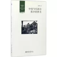 音像中国当代新诗批评的维度熊辉