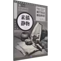 音像美术专业基础教材 素描静物不详