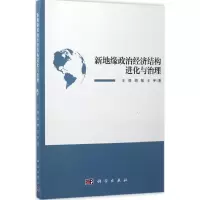 音像新地缘政治经济结构进化与治理王铮,胡敏,王宇 著