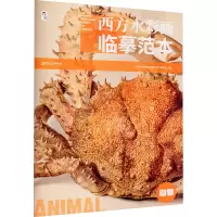 音像西方水彩画临摹范本 动物《西方水彩画临摹范本》编委会 编