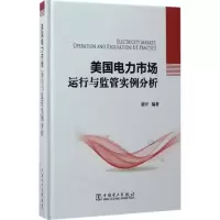 音像美国电力市场运行与监管实例分析谢开 编著