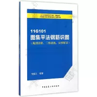 音像11G101图集平法钢筋识图(规则讲解三维透视实例解读)褚振文
