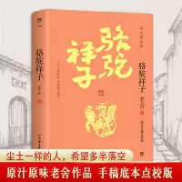 音像骆驼祥子老舍
