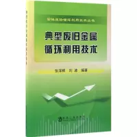 音像典型废旧金属循环利用技术张深根,刘波 编著