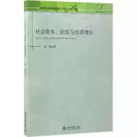 音像社会资本、信任与经济增长崔巍 著