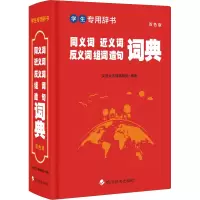 音像同义词近义词反义词组词造句词典 双色版汉语大字典编纂处 编