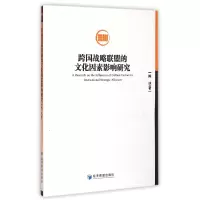 音像跨国战略联盟的文化因素影响研究陈冰