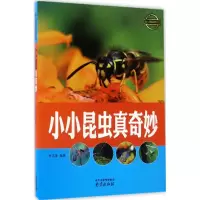 音像小小昆虫真奇妙李吉奎 编著