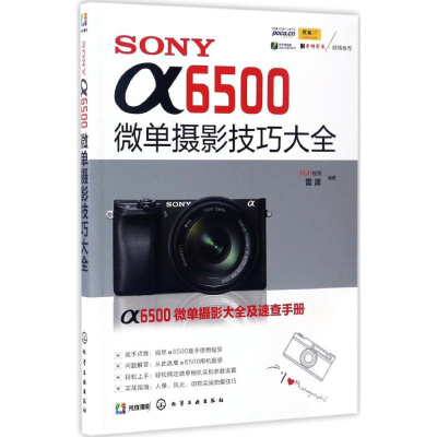 音像SONY α6500微单摄影技巧大全FUN视觉,雷波 编著