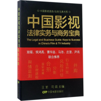 音像中国影视法律实物与商务宝典王军,司若 主编;王军 丛书主编