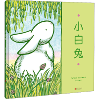 音像小白兔(美)凯文·汉克斯