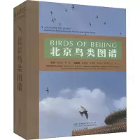 音像北京鸟类图谱朱雷编;赵欣如、朱雷叶红刘明赵敏