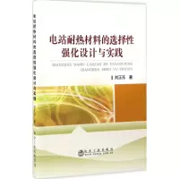 音像电站耐热材料的选择强化设计与实践刘正东 著