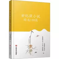 音像世纪微小说精选100篇作者