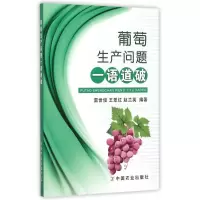 音像葡萄生产问题一语道破编者:雷世俊//王翠红//赵兰英