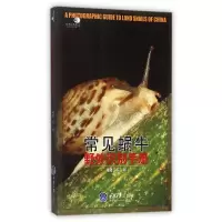 音像常见蜗牛野外识别手册/好奇心书系编者:吴岷