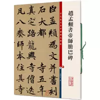 音像赵孟頫书帝师胆巴碑孙宝文 编
