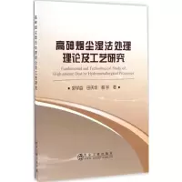 音像高砷烟尘湿法处理理论及工艺研究郭学益,田庆华,易宇 著