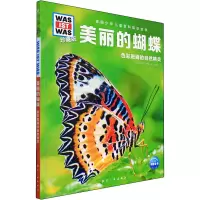 音像美丽的蝴蝶(德)尼科尔·兰蒂斯
